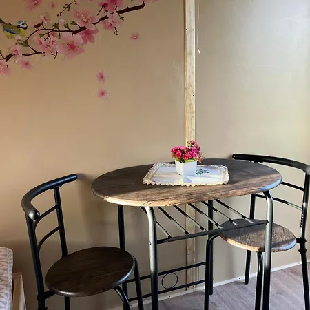 Camping Schaeferwagen Kuschel Vom Friesenhof Wieratal Nobitz