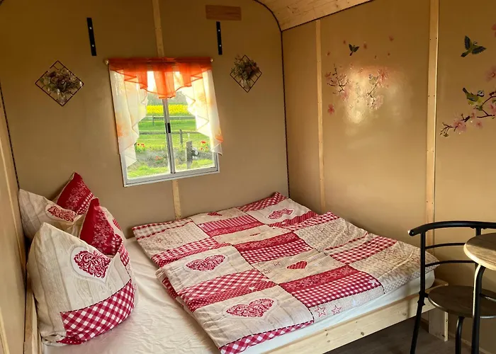 Schaeferwagen Kuschel Vom Friesenhof Wieratal *